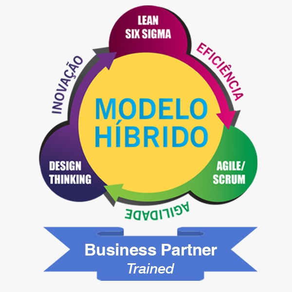 Business Partner Modelo Híbrido