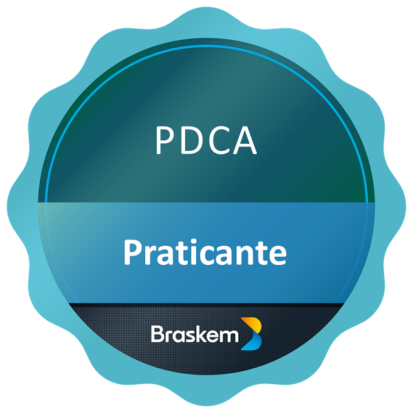 PDCA BR - 2025
