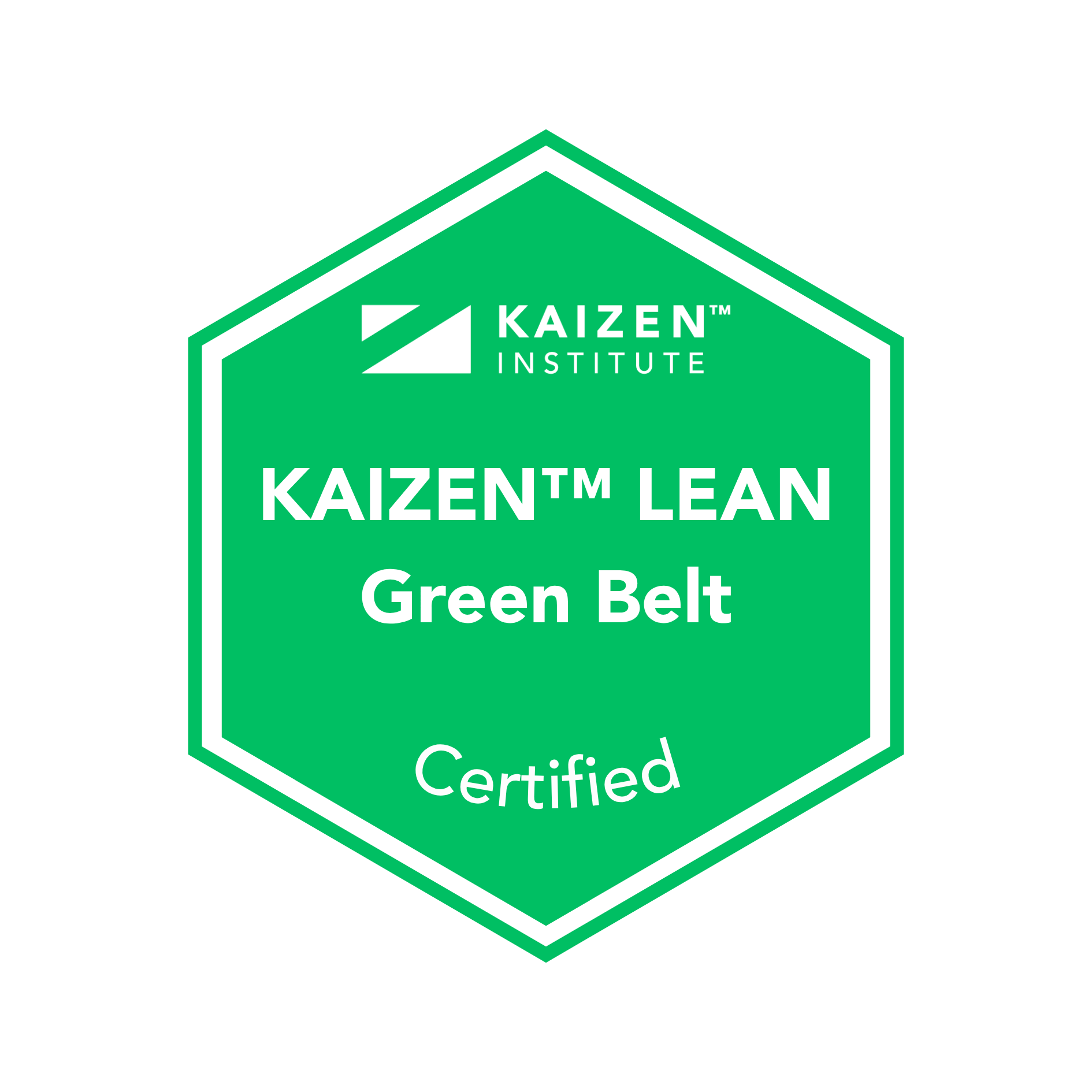 Certificação Internacional KAIZEN™ Lean Green Belt