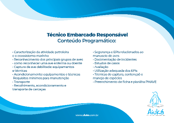 Técnico Embarcado Responsável