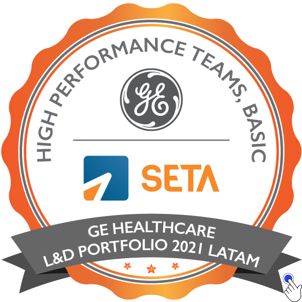 GE - High Performance Teams, basic - 2021
