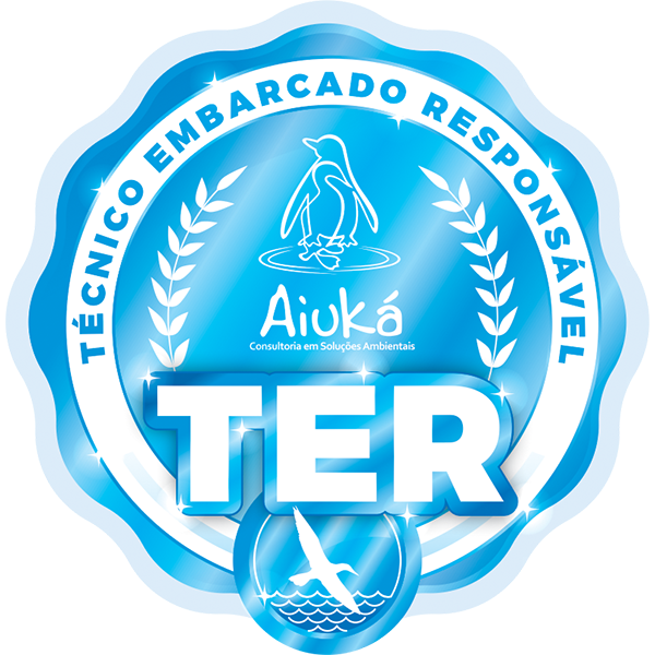 Técnico Embarcado Responsável