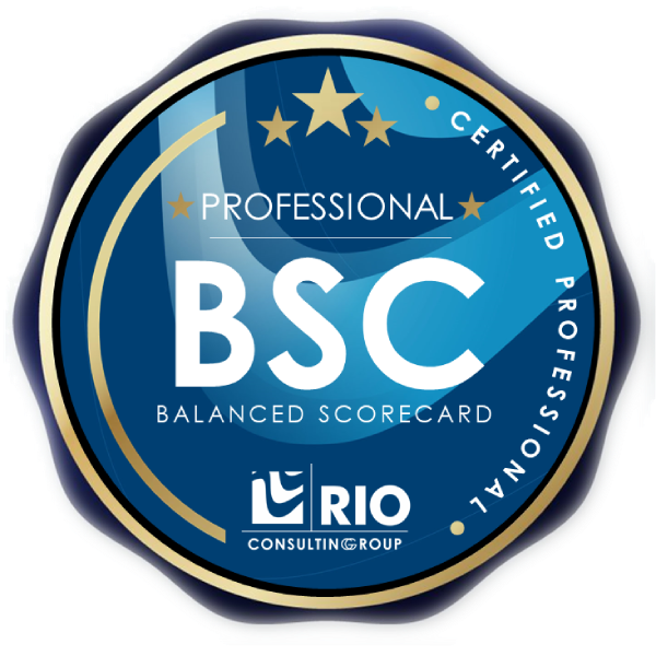 BALANCED SCORE CARD PROFESSIONAL