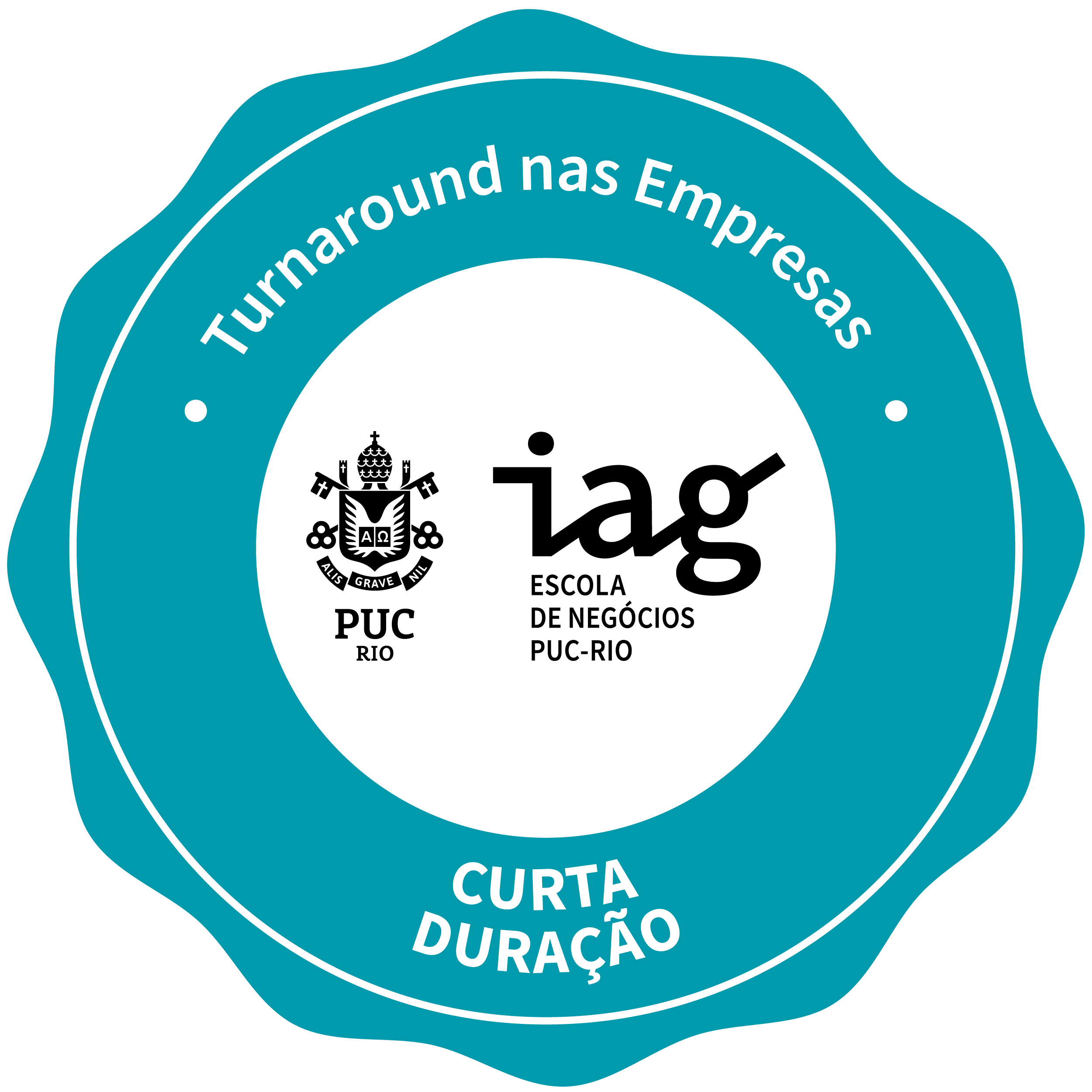 TURNAROUND NAS EMPRESAS: REORIENTAÇÃO PARA O CRESCIMENTO E ACELERAÇÃO DE RESULTADOS