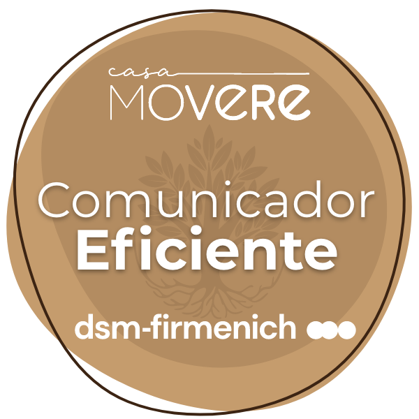 Comunicador Eficiente