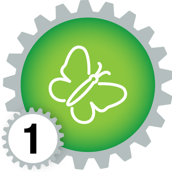 Natural Science Rockin' Squad Mate