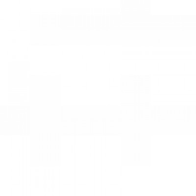 Daniela de Fatima Cerqueira