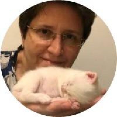 Adriana Lopes de Freitas