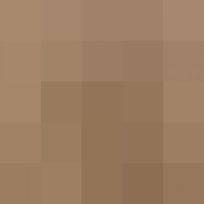 Luiza Santelli Mestieri Duckworth