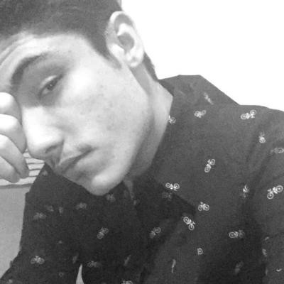 Vitor Francisco Martins Lima