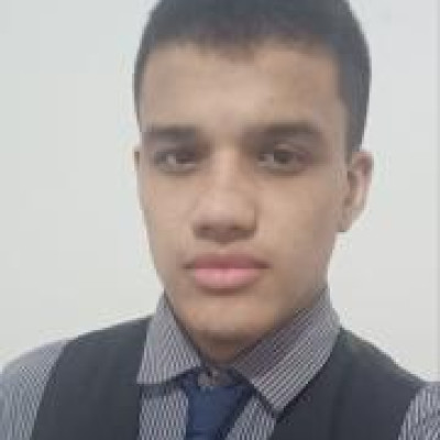 Orlando Luiz Braga Ribeiro