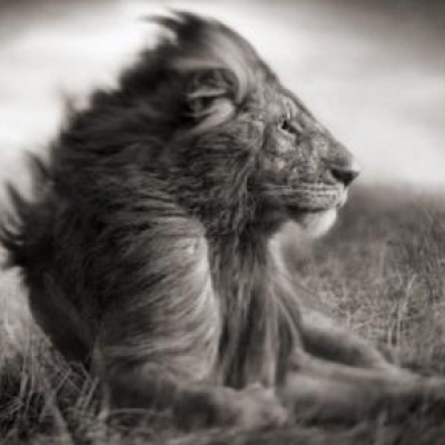 Christiano Augusto Andrade da Silva Borges